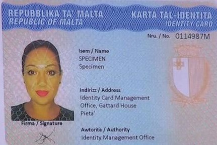 Buy Malta drivers license for sale